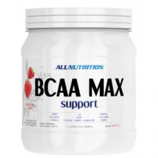 All Nutrition Bcaa Max Support 500 гр